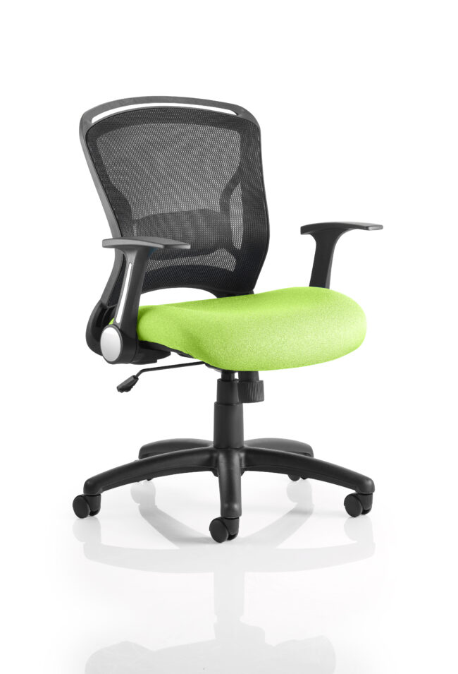 kcup0706 1.jpg