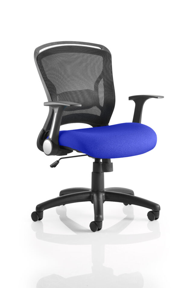 kcup0707 1.jpg