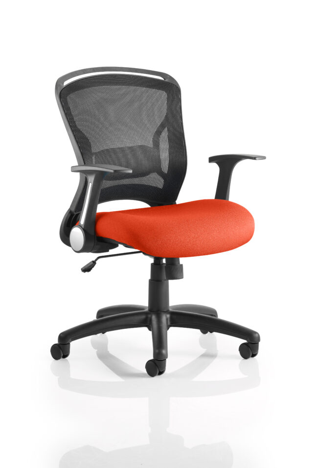 kcup0708 1.jpg