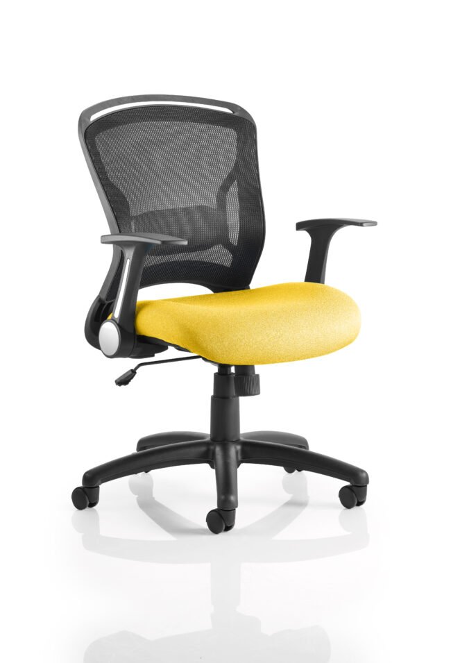 kcup0709 1.jpg