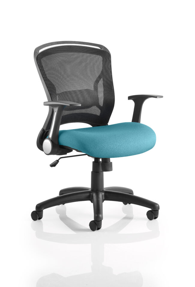 kcup0711 1.jpg