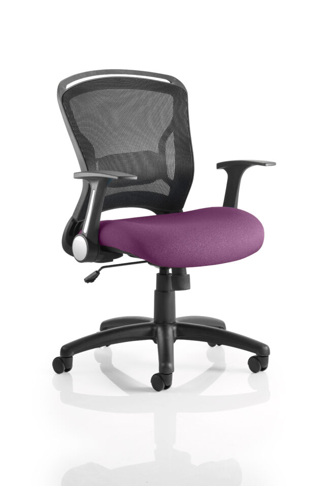 kcup0712 1.jpg