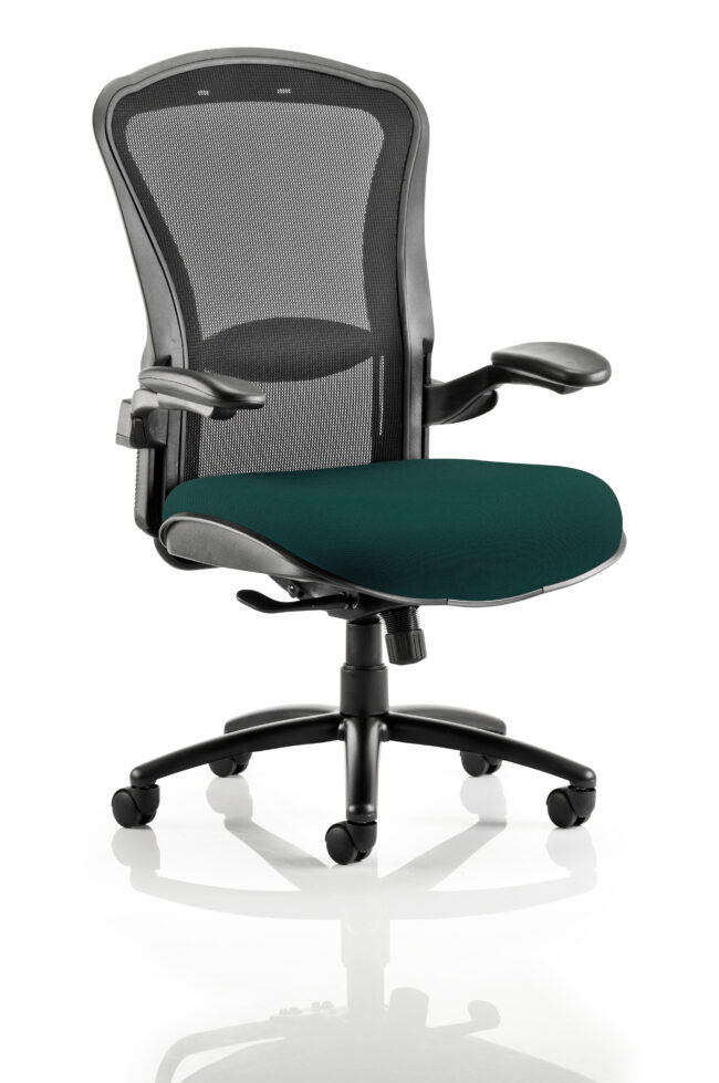 kcup0995 1.jpg