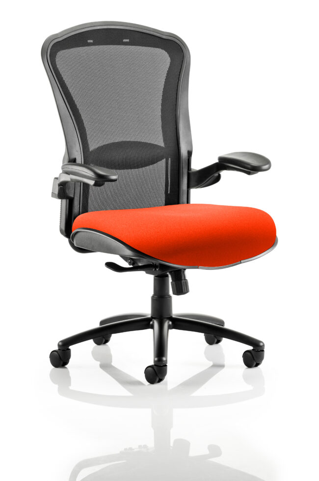 kcup0996 1.jpg