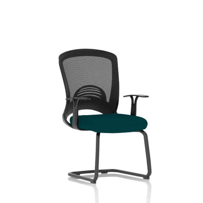 kcup2010 1.jpg
