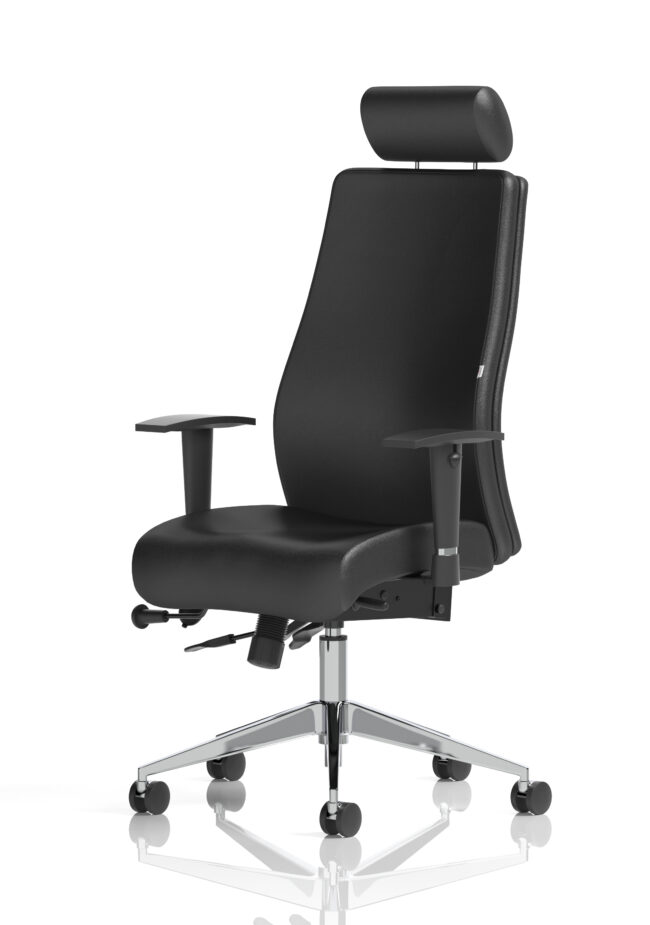 onyx high back ergonomic posture chair with height adjustable arms