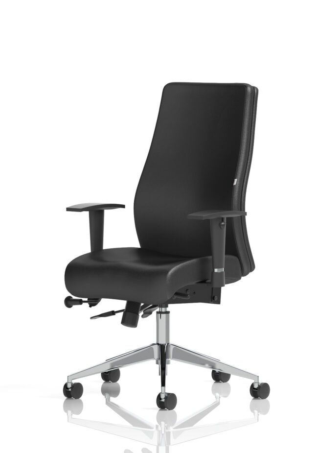onyx high back ergonomic posture chair with height adjustable arms