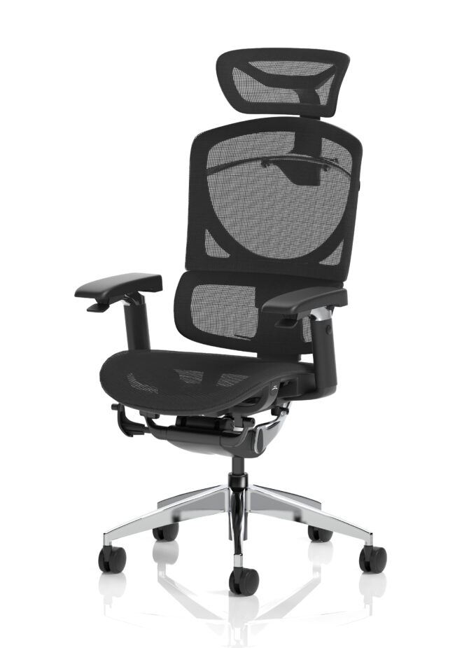 ergo click plus high back ergonomic posture office chair with arms and headrest