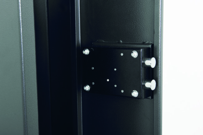 phoenix lacerta gun safe